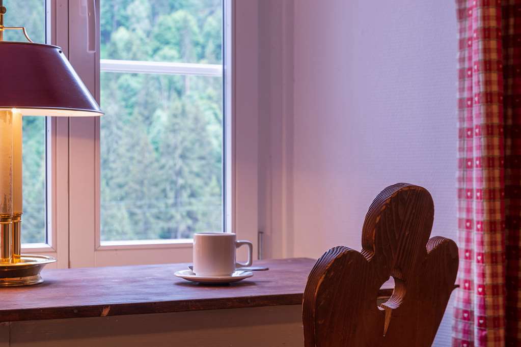 Historic Hotel Du Pillon Les Diablerets Vybavení fotografie